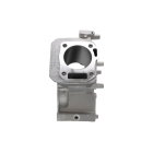 Blok motoru Honda GX200 Zongshen 168FB (OEM 12000-Z0V-406 12000Z0V406 12000ZL0417)