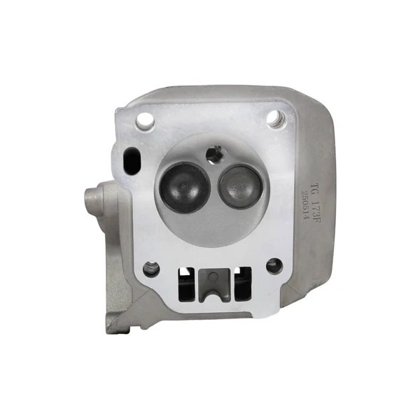 Hlava válce pro motory Honda GX240 GX270 Zongshen 177F (OEM 100002398)