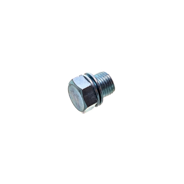 HS PARTS šroub M10 x 1.0 mm pro zaslepení dekompresního otvoru ve valcích značek Husqvarna Stihl Partner (OEM 11220252200)