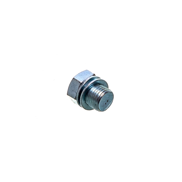 HS PARTS šroub M10 x 1.0 mm pro zaslepení dekompresního otvoru ve valcích značek Husqvarna Stihl Partner (OEM 11220252200)
