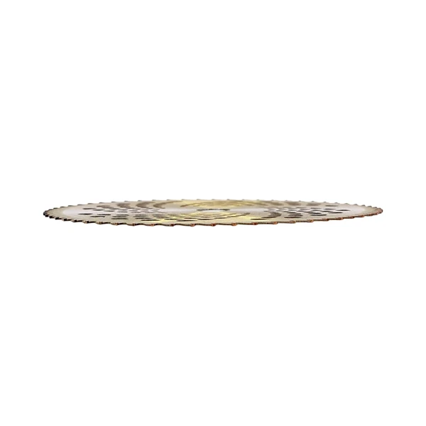 Karbidový nůž 60 zubý rozměr 255 mm x 25,4 mm pro křovinořezy