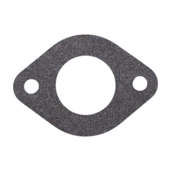 Karburátor pro motory Briggs & Stratton (OEM 591678 589669822)