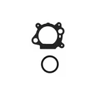Karburátor pro motory Briggs & Stratton (OEM 799868 14111 497586 498170 498254 497314 497347 694202 693909 692648 799872 790821 498255)
