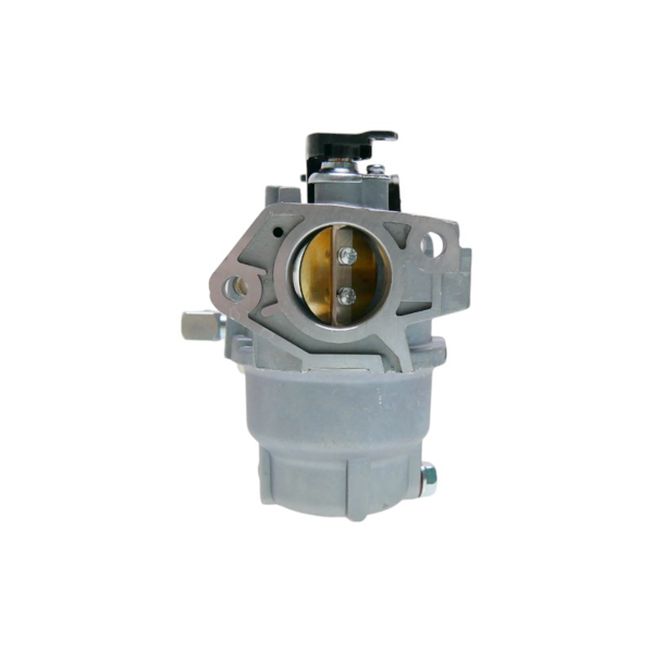 Karburátor pro motory Zongshen XP620 17,6 PS (OEM 100005493)