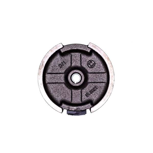 Magnetický kotúč pre motory Honda GX160 GX200 Zongshen 168FB GB200 (OEM 31100-ZE1-000 31100ZE1010 100009503)
