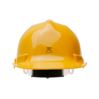 Ochranná prilba s chráničmi sluchu pre motorové píly krovinorezy a ďalšiu záhradnú techniku