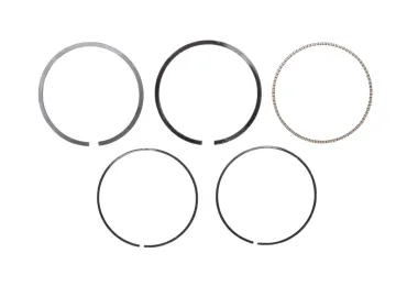 Piestne krúžky pre motory Briggs & Stratton výkon 5,5 PS 68,30 mm (OEM 791098 790360)