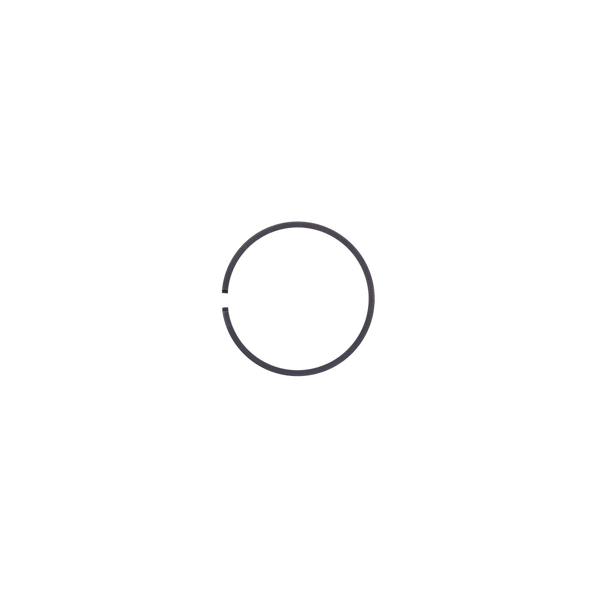 Piestny krúžok 48 mm x 1,5 mm