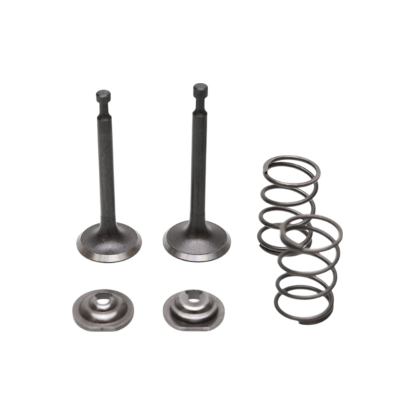 Súprava ventilov pre motory Honda GX160 GXV160 GX200 Zongshen 168F 170F