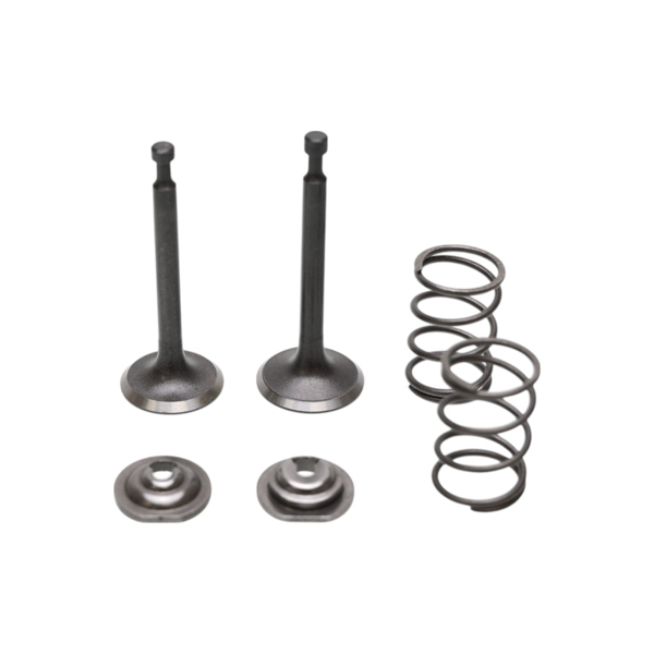 Súprava ventilov pre motory Honda GX160 GXV160 GX200 Zongshen 168F 170F