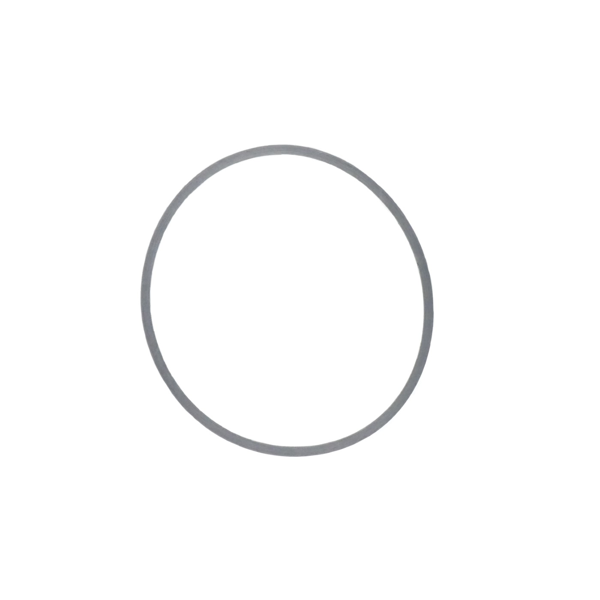 Těsnění karburátoru pro motory Briggs & Stratton 52 mm x 48 mm (OEM 281165S)