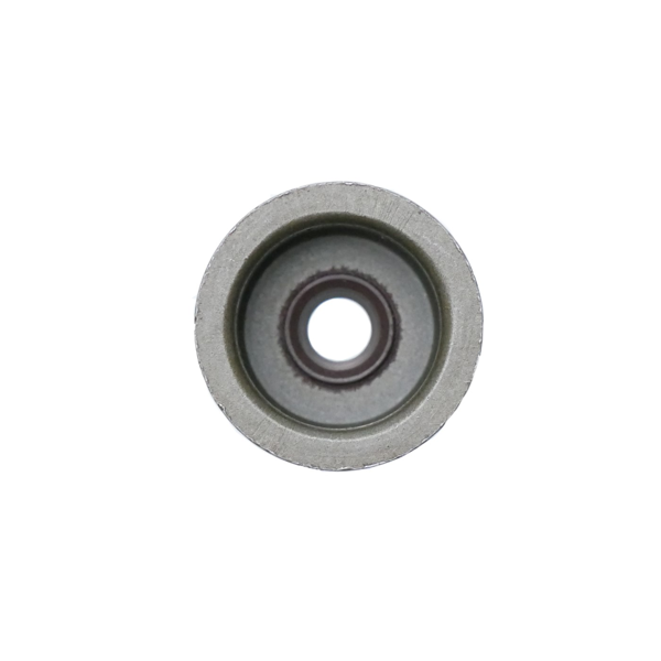 Těsnění ventilů pro motory Zongshen XP200 (OEM 100004598)