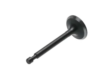 Výfukový ventil pre motory Zongshen XP200 originálny diel (OEM 100004547)