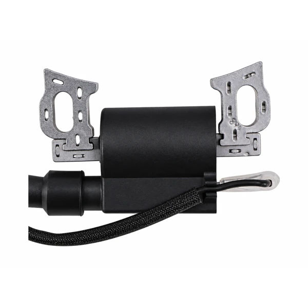 Zapalování pro motory Zongshen 168F 168FB 170F výkon 6,5 PS 100009241 (OEM 100009241)